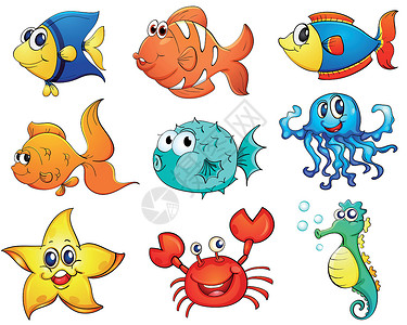 拉斯海马白色孤立的热带鱼动物螃蟹情调卡通片金子星星金鱼团体海星收藏插画