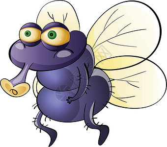 黄色苍蝇肮脏的佛罗里达州害虫头发病菌昆虫疾病翅膀生物卡通片飞行细菌插画
