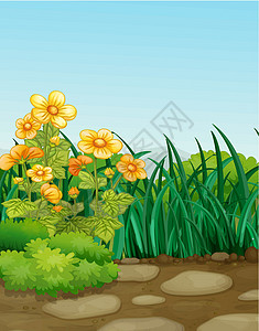 园花园清泉岩石黄色天空植物杂草花园向日葵绿色石头背景图片