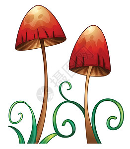 两个红色蘑菇蘑菇食用菌剪贴草图植物红色灌木食物营养犯罪插画