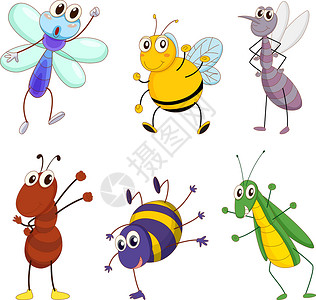 一群动物蜜蜂昆虫蜉蝣手势乐趣收藏臭虫冒充团体插图背景图片