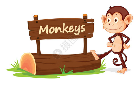 猴子和姓名牌标签英语哺乳动物木头铭牌刻字生物卡通片黑猩猩动物园背景图片