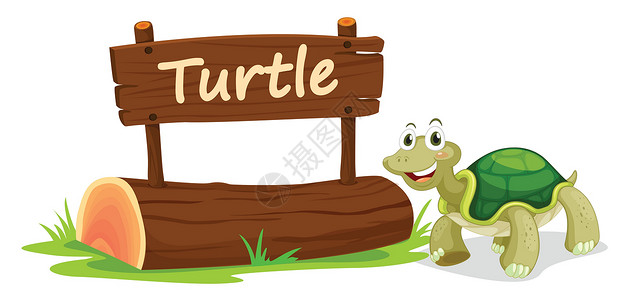 乌龟和铭牌动物园动物草图标题展示日志生物绘画植物木头背景图片
