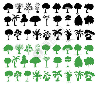 树木种类繁多黑色叶子树叶团体白色剪裁草图剪影分支机构绿色设计图片