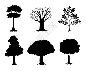 黑色树木树木草图分支机构树叶白色黑色叶子环境卡通片绘画剪裁设计图片