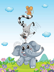 大象跳舞动物卡通片舞蹈植物平衡环境公园草图草裙动物园哺乳动物设计图片