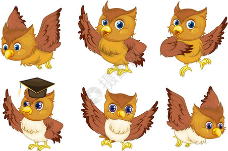 猫头鹰系列漫画飞行卡通片橙子大学行动帽子爪子童话翅膀背景图片