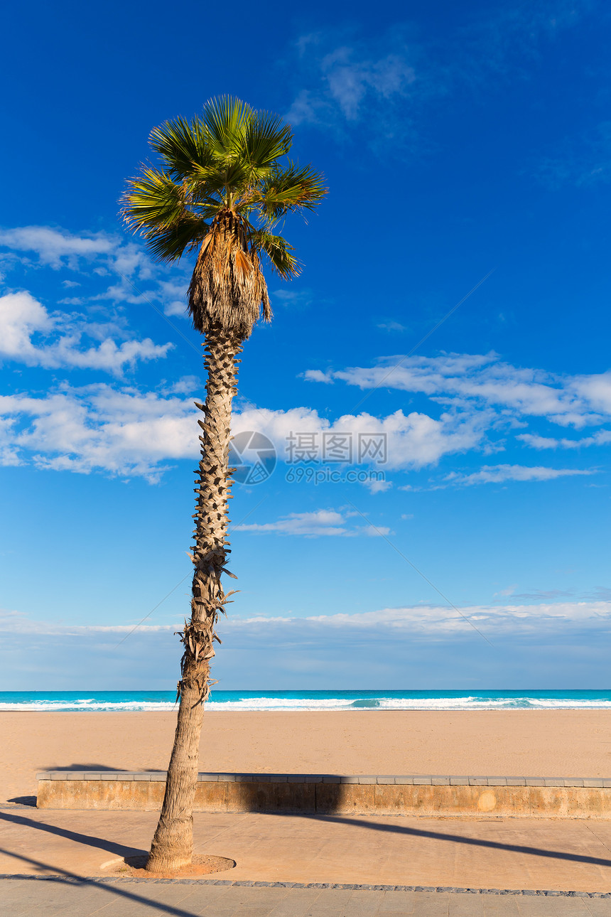 巴伦西亚马尔瓦罗萨拉斯阿雷纳斯 帕塔科纳海滩棕榈树海岸线海岸假期海洋棕榈海滩蓝色海景天空波浪图片