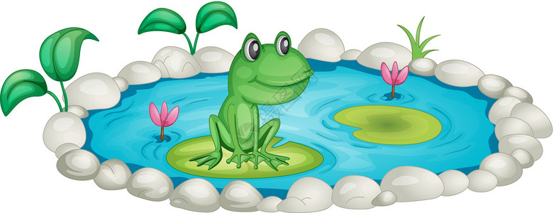 莉莉池塘中的青蛙两栖蟾蜍剪裁剪贴卡通片漂浮软垫波纹蓝色动物插画