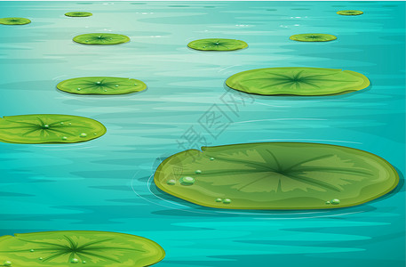 平静的池塘场景栖息地绘画插图百合软垫环境溪流植物气泡背景图片
