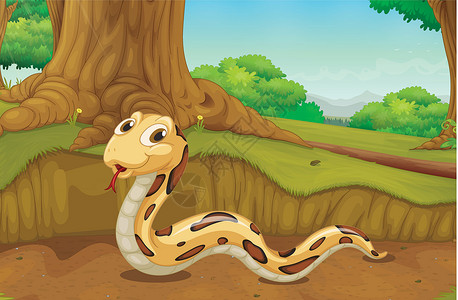 蛇根花蛇在前面爬虫地面森林荒野栖息地捕食者树干场景植物天空插画