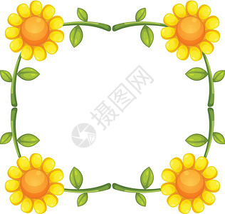 向日葵圆形边框模版空白圆圈长方形萼片卡片绿色雏菊边界正方形花店设计图片