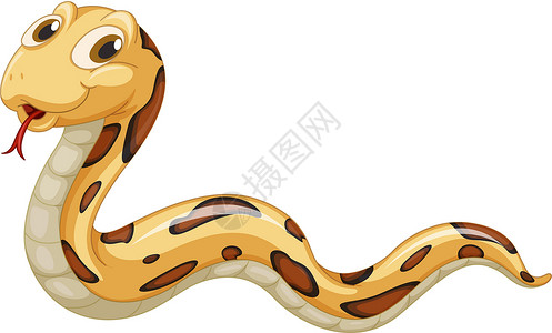 蛇独自滑行吉祥物插图绘画卡通片棕色爬虫动画荒野乐趣捕食者背景图片