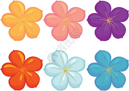 不同颜色的花朵橙子插图粉色团体蓝色紫色花瓣红色收藏背景图片