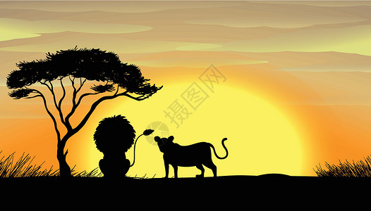 树下的狮子和老虎比丘晴天草图绘画太阳沙漠植物场景农村胡须设计图片