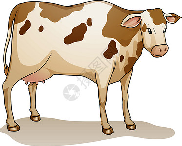 棕色奶牛奶牛牛奶奶制品草图动物尾巴卡通片哺乳动物白色农场棕色插画