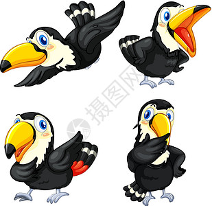 厚脸皮大嘴鸟系列玩具翅膀思考生物动物群蓝色快乐插图艺术小路插画