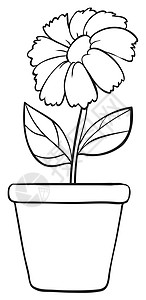 黑白花花瓣黑色陶瓷绘画生长树叶床单制品植物白色背景图片
