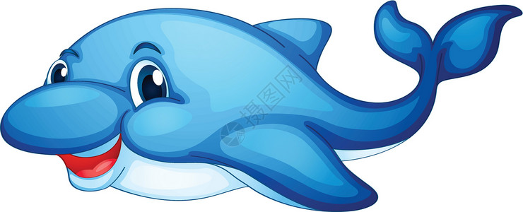 孤立在惠特上的海豚动物草图鲨鱼白色海洋微笑红色尾巴蓝色背景图片