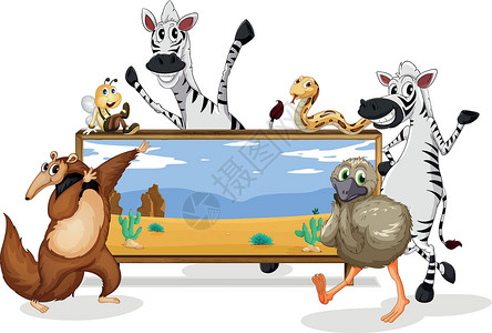各种动物和野猪爬虫斑马昆虫卡通片荒野野生动物蜜蜂木板指示牌团体背景图片