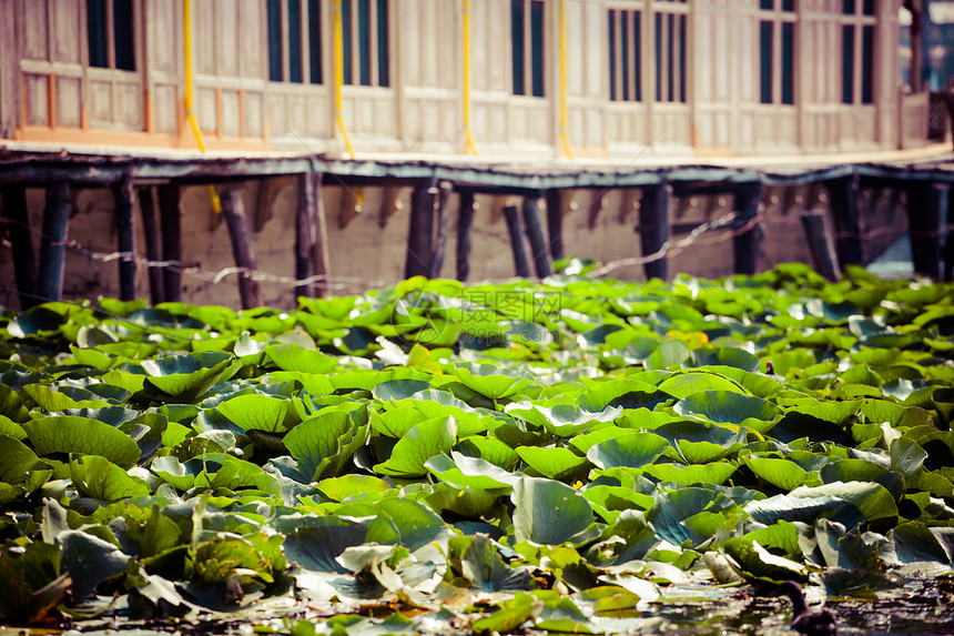 克什米尔达尔湖的Shikara船船库住宅场景文化市场社区运输酒店风景木头图片