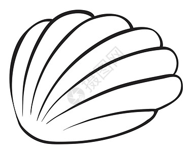 贝壳肉海扇壳素描海洋绘画草图流浪者热带卡通片线条生活工作动物插画