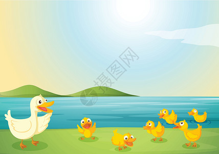 沐浴小鸭子鸭子蓝色草地植物动物小鸭子天空绿色农场灌木婴儿设计图片