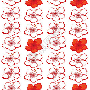红芙蓉花植物艺术红色团体热带花瓣植物群插图白色花朵背景图片