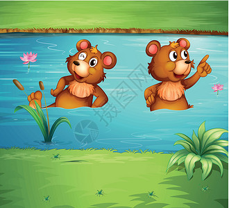 熊游泳池塘里有两只动物设计图片