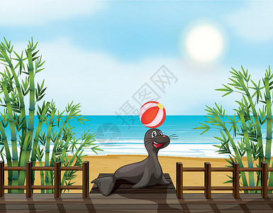 动物玩球玩球的海豹设计图片