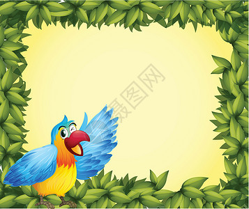 色彩多彩的鹦鹉和绿叶框背景图片