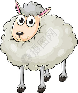 灰色剪贴画绵羊羊肉涂鸦白色生物家畜粉色哺乳动物动物园动物卡通片插画
