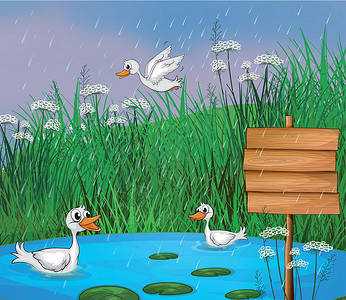 水店招牌素材在雨中玩鸭子插画