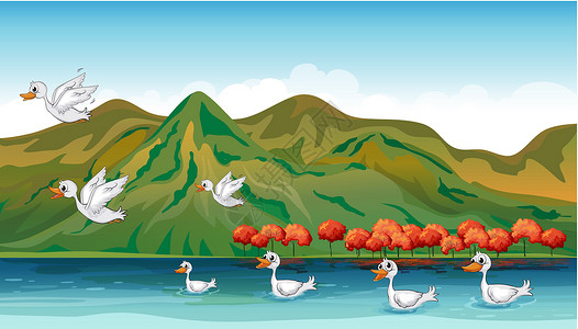鸭子游泳寻找食物的鸭子天空家庭游泳动物团体资源绘画丘陵卡通片爬坡设计图片