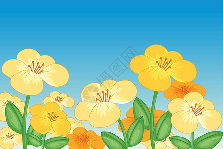 库特尔苏佩美丽的鲜花植物花瓣绘画树叶花园黄色绿色花蜜生长天空插画