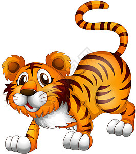 奔跑的老虎虎身跳跃姿势绘画卡通片鼻子橙子白色动物尾巴耳朵生物荒野设计图片