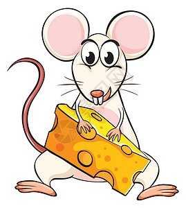 抱着奶酪老鼠老鼠和奶酪跑步动物小吃牙齿绘画哺乳动物黄色午餐卡通片微笑插画