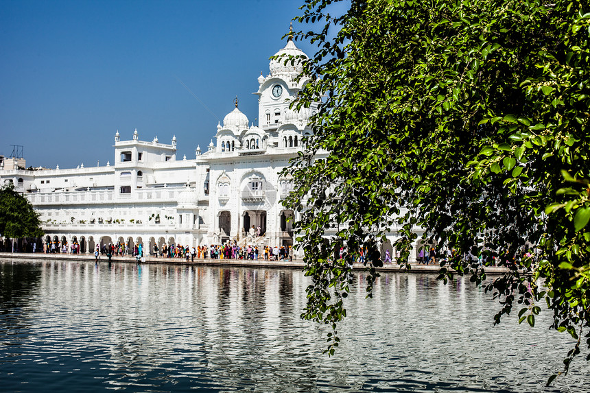 Amritsar 印度旁遮普邦反射寺庙建筑建筑学金子旅行祷告手稿宗教崇拜图片