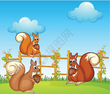 三只松鼠花园的松松鼠插画