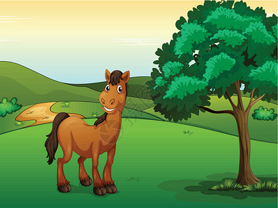马鹦路一匹微笑的马荒野灌木野生动物场地公园天空草地马匹绿色植物农场设计图片