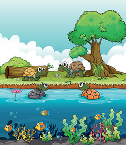 乌龟河一条河和一头微笑的海龟插画