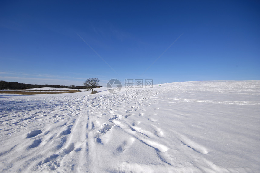 冬天在山上树上蓝色风景季节自然树木冻结孤独爬坡天空分支机构图片