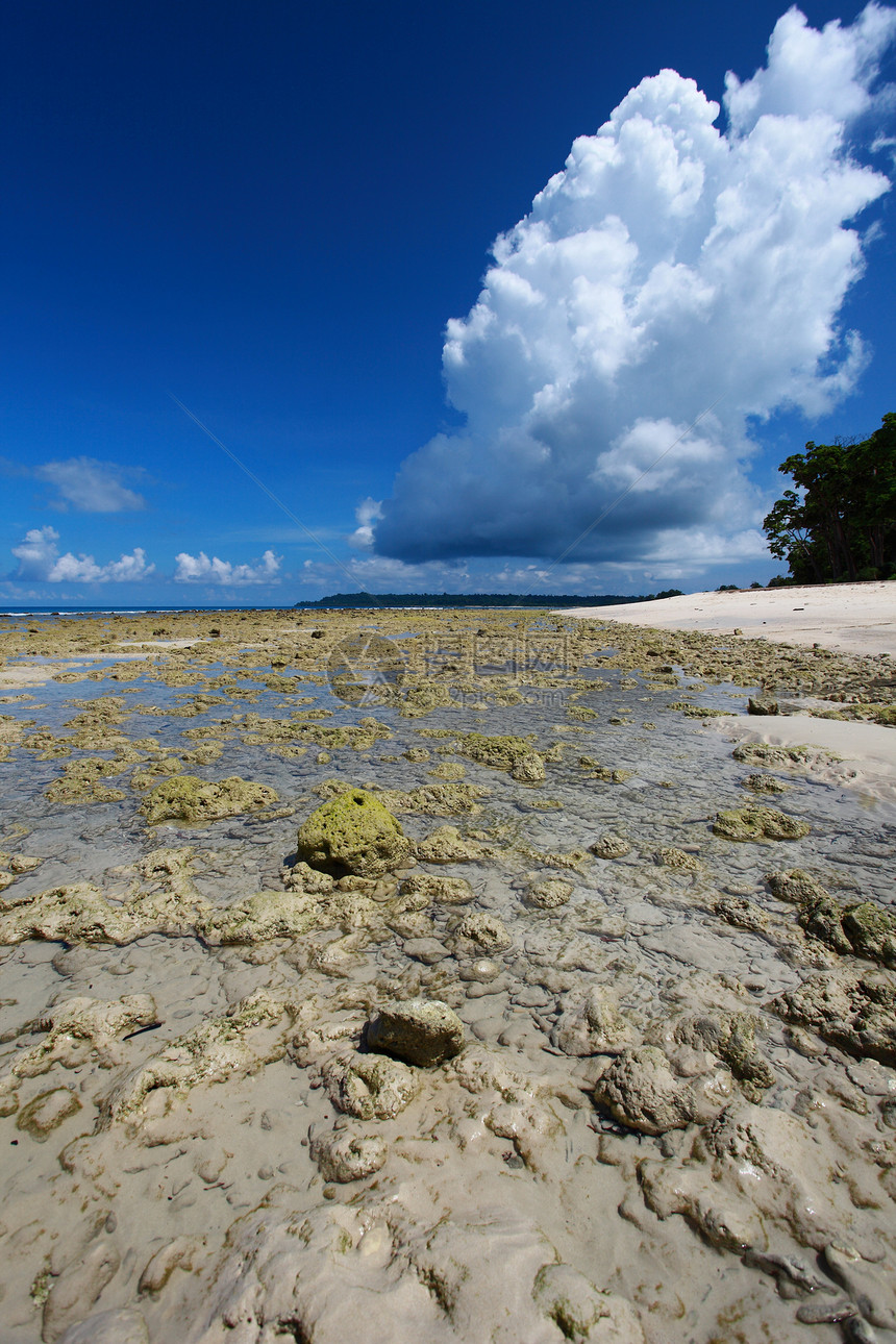 低潮 蓝色天空和白云 在珊瑚海滩 安达曼岛海景孤独天堂晴天支撑海岸海滩旅行反射风景图片