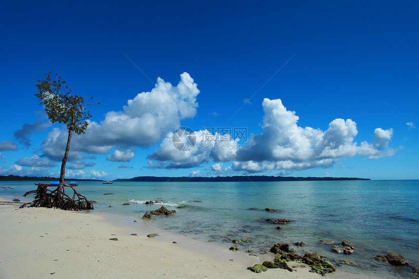 印度安达曼岛哈沃洛克岛的蓝天空和云海岸热带假期海洋棕榈支撑旅行孤独晴天岩石图片