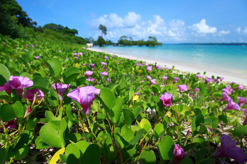 印度安达曼群岛 哈沃洛克岛 蓝色天空与白云旅行海洋海岸假期天堂海岸线海景海滩晴天支撑图片