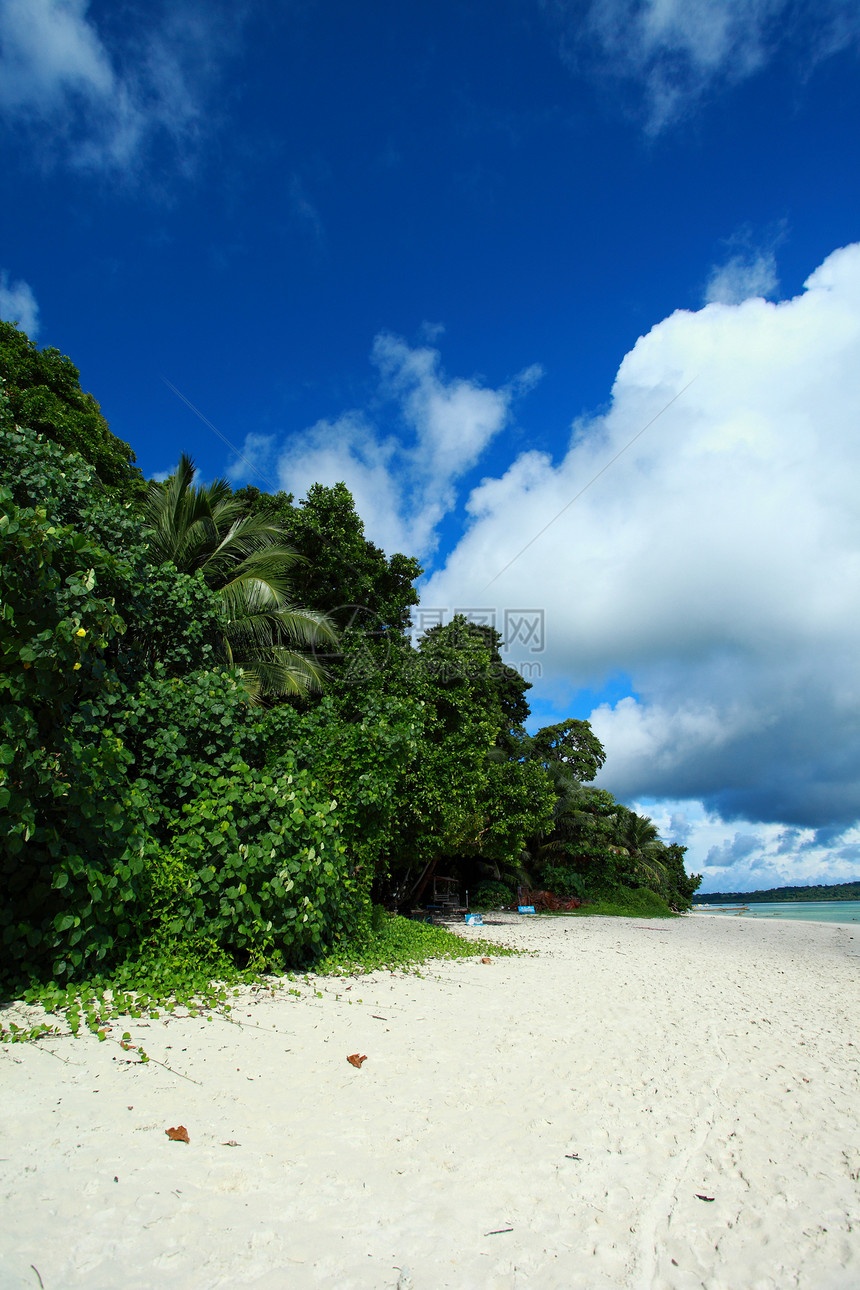 印度安达曼岛哈沃洛克岛的蓝天空和云海滩椰子晴天旅行海景蓝色棕榈海洋热带天堂图片