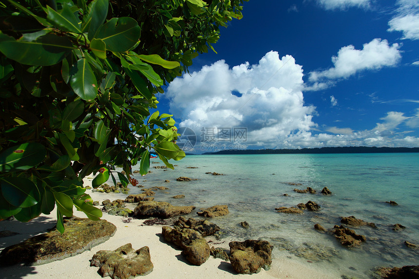 印度安达曼岛哈沃洛克岛的蓝天空和云热带吊床海滩岩石海景蓝色支撑椰子风景海洋图片