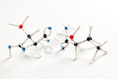 两种氨基酸的分子模型高清图片