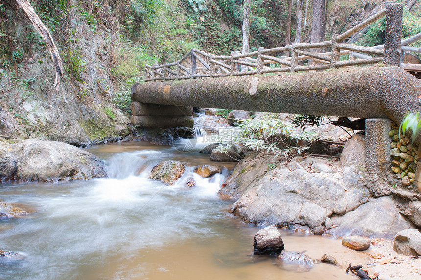 Wooden桥和瀑布栏杆公园衬套森林场景地形植物环境叶子运动图片