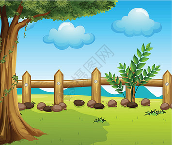石头围栏篱笆里面的一棵大树插画